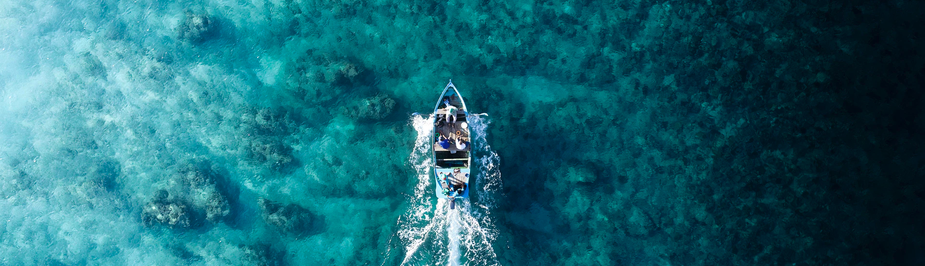 overhead shot of small row boat with passengers moving across clear water, from bottom to top