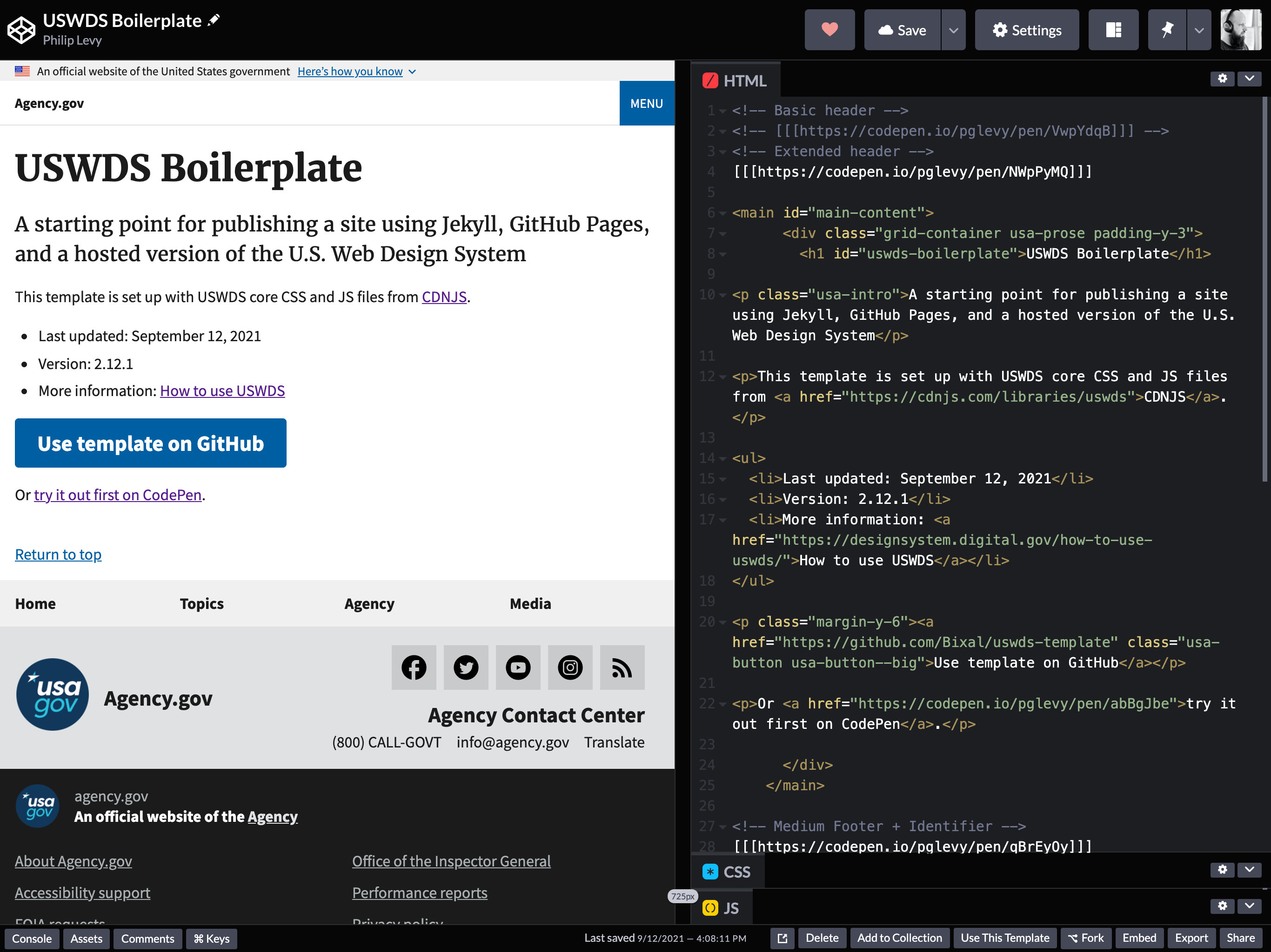 Default view of the USWDS Boilerplate pen on CodePen